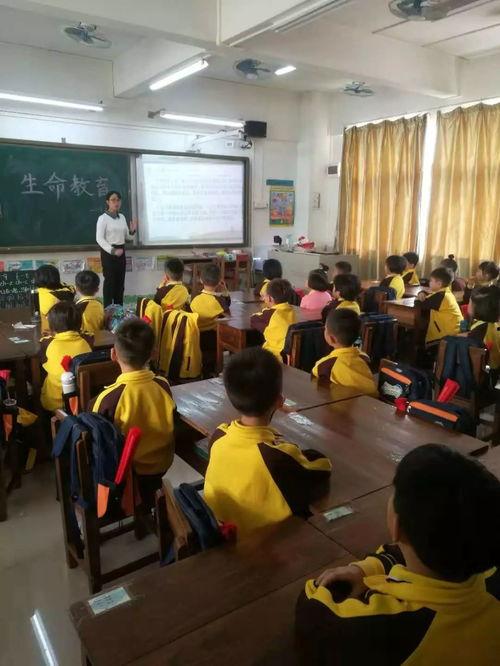 重庆小学爆料事件最新,揭开校园安全与管理的隐秘面纱 第1张 重庆小学爆料事件最新,揭开校园安全与管理的隐秘面纱 第1张