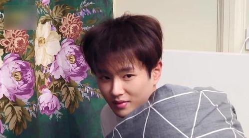 范丞丞奔跑吧吃瓜爆料视频,吃瓜爆料背后的真相大起底 第2张 范丞丞奔跑吧吃瓜爆料视频,吃瓜爆料背后的真相大起底 第2张